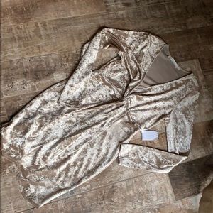 NWT crushes velvet gold/beige form fitting dress